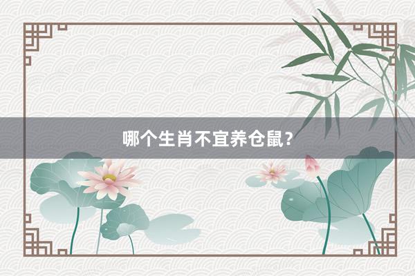 哪个生肖不宜养仓鼠？