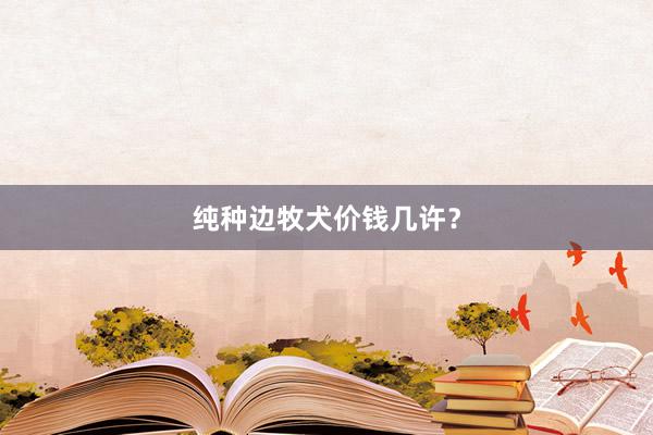 纯种边牧犬价钱几许?